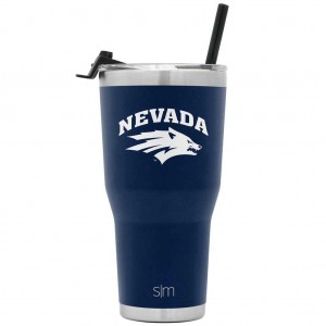 Simple Modern Cruiser with Flip Lid and Straw Water Bottles Indigo | NIUQYV583