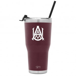 Simple Modern Cruiser with Flip Lid and Straw Water Bottles Burgundy | INKTWX697