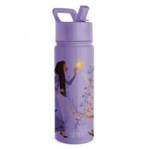 Simple Modern Water Bottle with Straw Lid Water Bottles Purple | HFULSV065