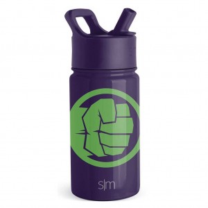 Simple Modern Water Bottle with Straw Lid Water Bottles Purple | OYPKAM651
