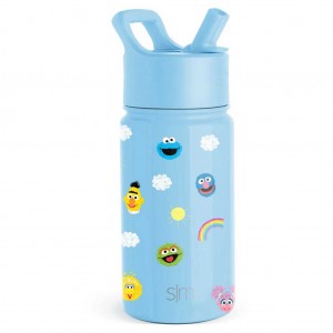 Simple Modern Water Bottle with Straw Lid Water Bottles Light Blue | ALIUXV986
