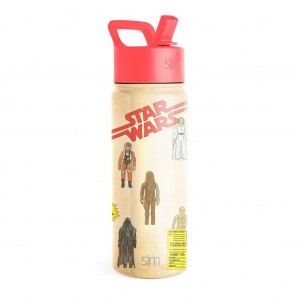 Simple Modern Water Bottle with Straw Lid Water Bottles Brown | MRPKIS476