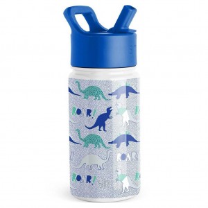 Simple Modern Water Bottle with Straw Lid Water Bottles Light Indigo | PVSOKR564