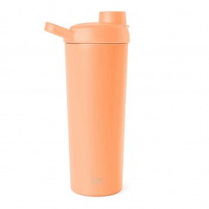 Simple Modern Water Bottles Apricot | TGNWZM864