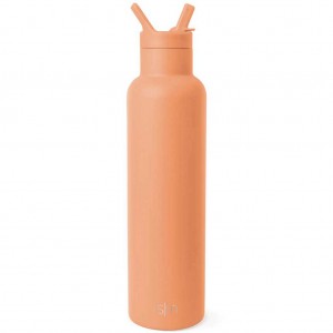 Simple Modern with Straw Lid Water Bottles Apricot | ALEWOF235