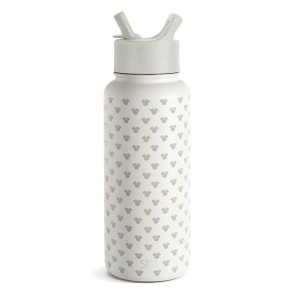 Simple Modern with Straw Lid Water Bottles Beige | EDJZVT680